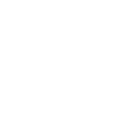 Courslin