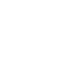 Luggage Guard